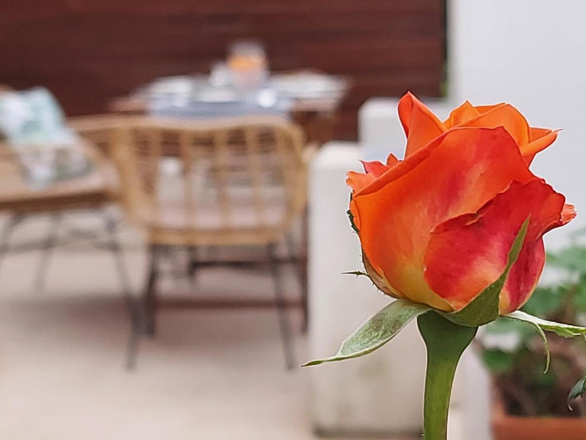 Casa Al Giardino, In Campagna Nel Cuore Di Apartamento